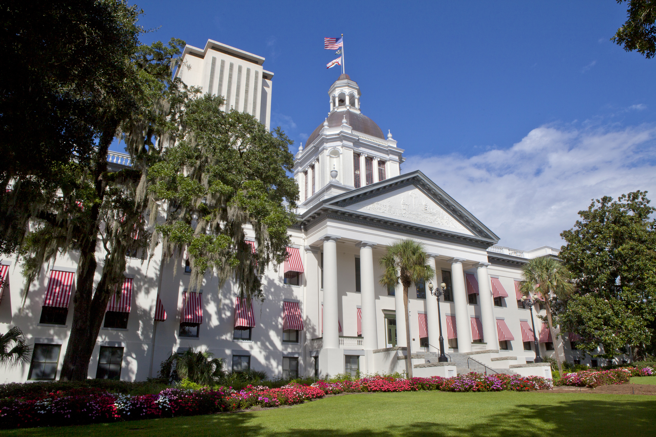 Florida Supreme Court Adopts Apex Doctrine, Provides Protections for High- Level Corporate Officials - Lewis Brisbois Bisgaard & Smith LLP